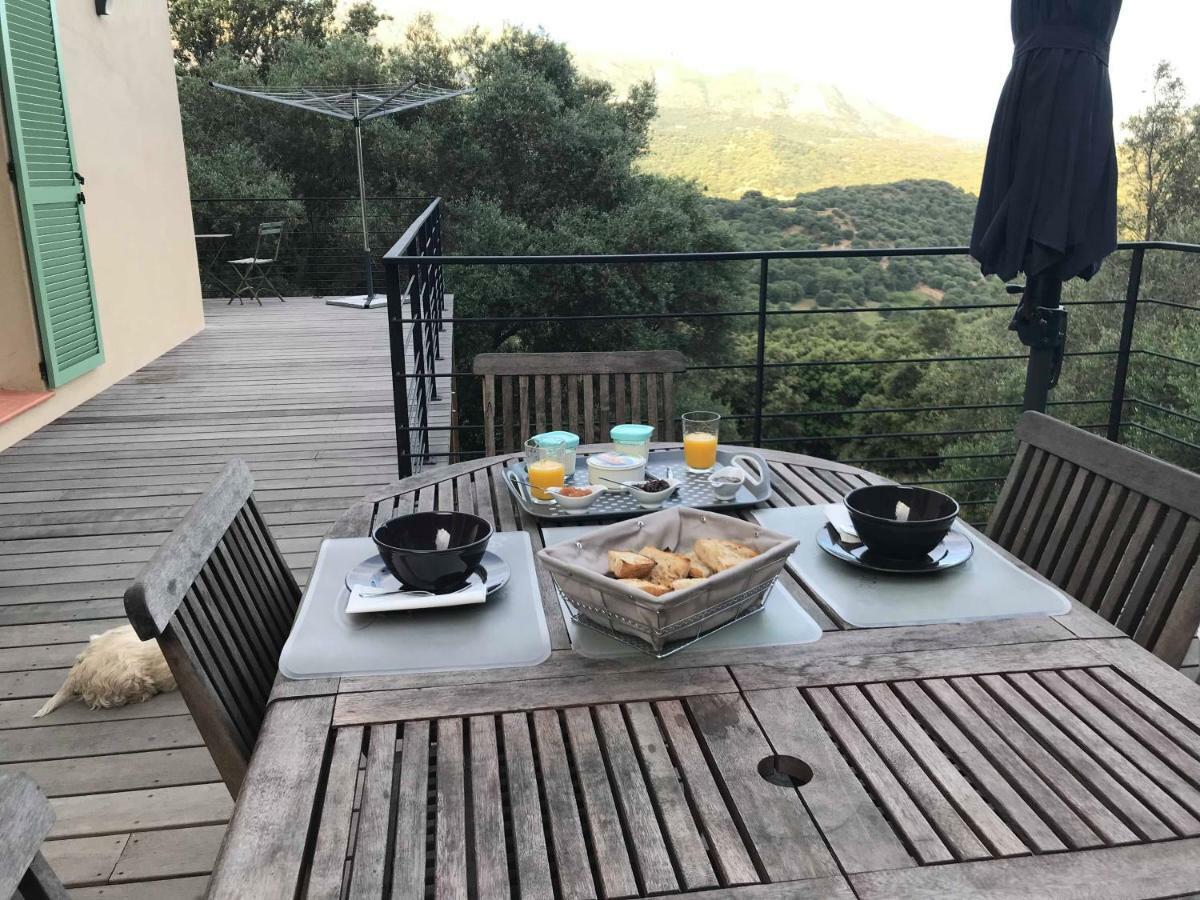 La Villa Volpaso Belgodere  Bagian luar foto
